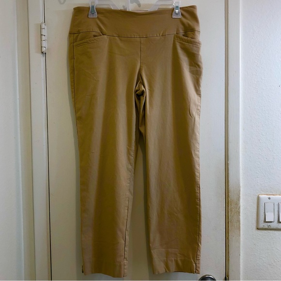 Swing Control Masters Ankle Pant Elasticized Waist W/Tummy Control Beige Size 12 - Picture 10 of 16